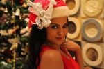 Veena Malik Celebrating Christmas on 20th Dec 2012 (16).JPG